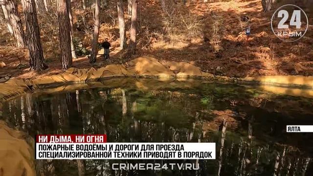 Ни дыма, ни огня: какие меры по профилактике лесных пожаров предпринимают в Крыму