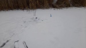 Вечерний  Выезд на Водоем