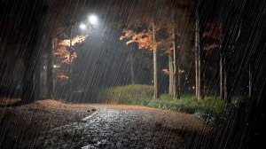 🌧️🍂Успокаивающий шум дождя темной осенней ночью и падающие листья создают умиротворяющую атмосферу