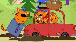 ТРИ КОТА. ТРИ КОТА НА ПИКНИКЕ.