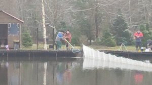 Основной водоём. На донку.