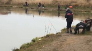 дуплет форели