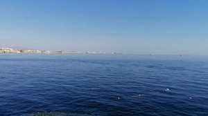 Пляж Reef Beach Шарм эль Шейх 4.12.2025