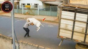 Смешные моменты снятые на камеру👍👍🤣