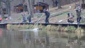 Поимки Основной водоем