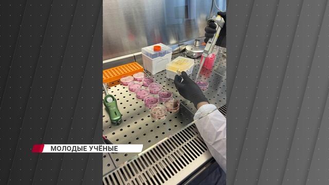 Студенты творят чудеса