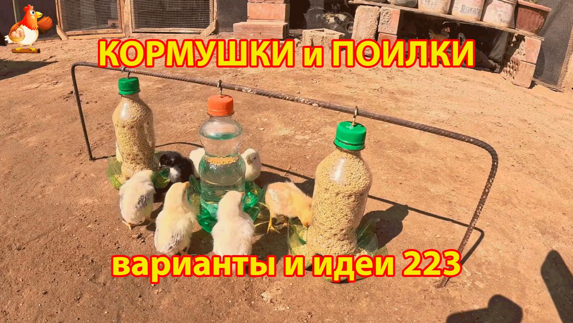 Кормушки и поилки для кур своими руками 223 🪚✂️ Пошаговая инструкция как сделать 🐔 🐓❣️