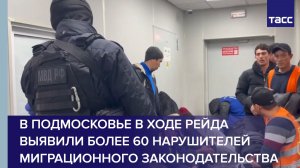 В Подмосковье в ходе рейда выявили более 60 нарушителей миграционного законодательства