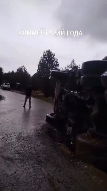 Комментарий года