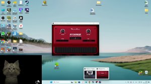 котик про лайк