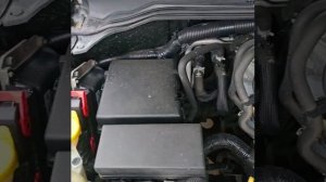 VID-20251205-WA0008.mp4