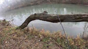 Осеняя рыбалка на усача. Рыбалка в Чечне.