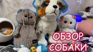 😼🐶Обзор на собаку с басиками 🐾 Котики vs Собака! Мяу-Обзор от пушистых критиков 😼🐶