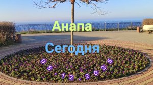 Анапа Сегодня 05.12.2025