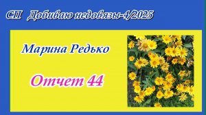СП "Добиваю недовязы-4/2025" / Отчет 44