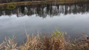 Щука в декабре по открытой воде как поймать много?! Секреты ловли щуки в декабре.