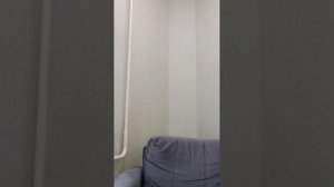 с добрым утром!