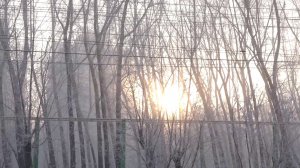 МОРОЗЫ ВОЗВРАЩАЮТСЯ