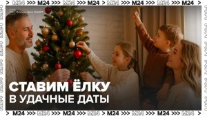 Нумерологи рассказали, в какие числа можно поставить елку - Москва 24