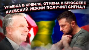 Европейский цирк: пока НАТО играет в превентивные удары, посланник Трампа улыбается в Кремле