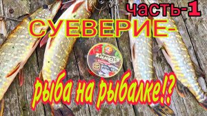 ВИДЕО ДЛЯ НАСТОЯЩИХ РЫБАКОВ! ВЛИЯНИЕ РЫБНЫХ КОНСЕРВ НА КЛЕВ НА РЫБАЛКЕ!