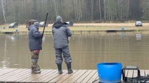 Поимки форели !!!