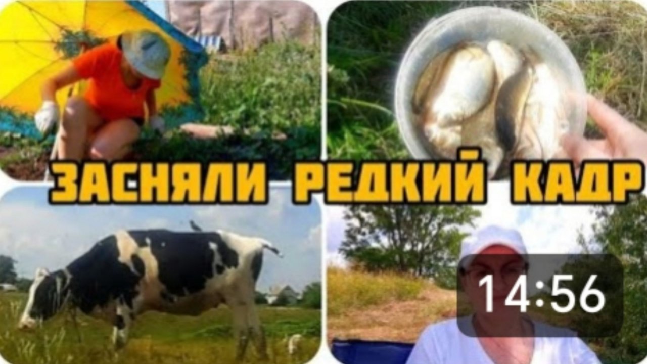 ЗАСНЯЛИ РЕДКИЙ КАДР ☝️ УДАЧНАЯ РЫБАЛКА В ДЕРЕВНЕ 🎣🐠🐟