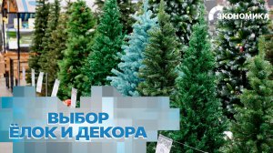 Живая или искусственная. Какой елке отдают предпочтение россияне на Новый год?