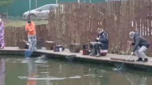 Зарыбление водоёма и активные поимки форели.