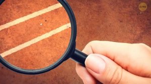 Сотни линий Наска, только что обнаруженных в Перу — ранее неизвестные