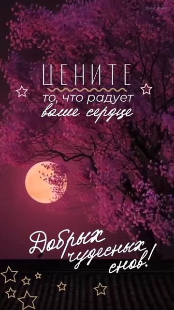 Добрых снов