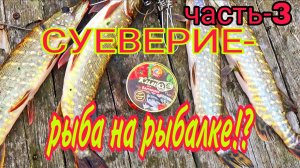 ВИДЕО ДЛЯ НАСТОЯЩИХ РЫБАКОВ! ВЛИЯНИЕ РЫБНЫХ КОНСЕРВ НА КЛЕВ НА РЫБАЛКЕ! Часть 3.
