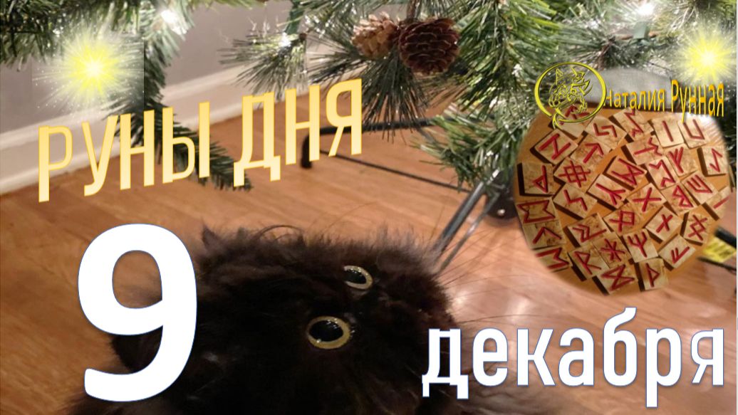 РУНА ДНЯ\прогноз на сегодня, 9 декабря 2025г от Наталии Рунной