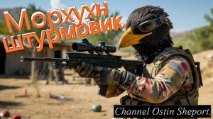 Морхухн Штурмовик. ОСТИН ШЭПОРТ 2025 ГОД.
