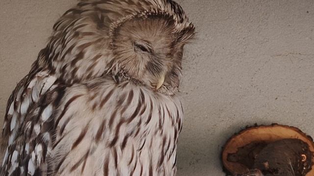 Спокойствие...абсолютное