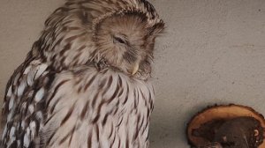 Спокойствие...абсолютное