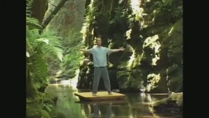 Комплекс Цигун для начинающих с Ли Холденом