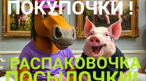 ПОКУПОЧКИ И РАСПАКОВОЧКА ПОСЫЛОЧКИ ВАСЕВСКИХ ИЗ КРАСНОКАМСКА