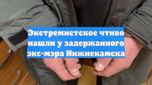 Экстремистское чтиво нашли у задержанного экс-мэра Нижнекамска