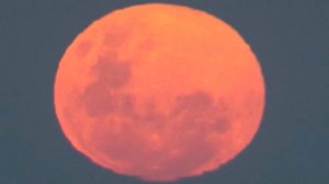 Последнее суперлуние в 2025 году наблюдали жители Земли