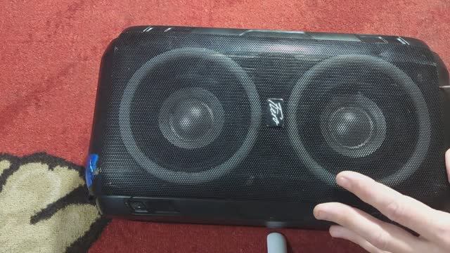 Разборка и ремонт колонки Fiera FR440