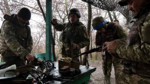 Трамп выразил надежду на скорое урегулирование конфликта на Украине