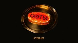 скоты - а тебя нет (official audio)