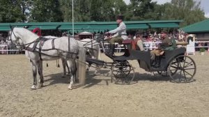 Участники V Чемпионата русских троек "Крылатое сердце России". Часть 1. Тройка КТК "Золотая подкова"