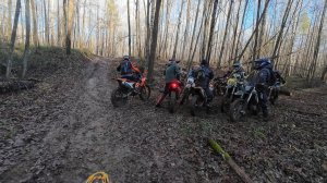 Эндуро прохват/ Много мокрых бревен