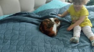 05-12-2025 как мы всю неделю делали себе телевидение. потратили кучу денег.