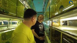 Рыборазводня Александра Мозгового. г. Геленджик