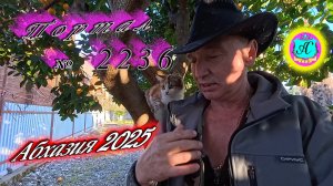 #Абхазия2025🌴 05.12.25г.🔥 Выпуск № 2236❗вчера +18°🌡ночью +9°🌡море +14,8°🐬