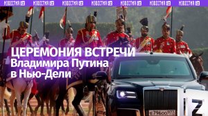 Ковровая дорожка и почетный караул: как Владимира Путина встречали в Нью-Дели
