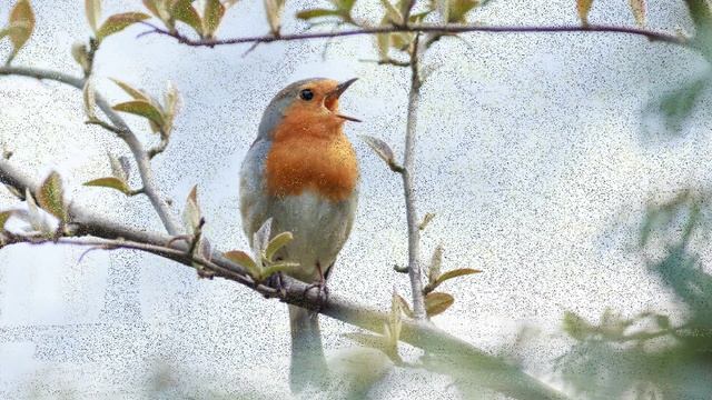 "Дорога в школу" - "Лёгкие пьесы", часть II